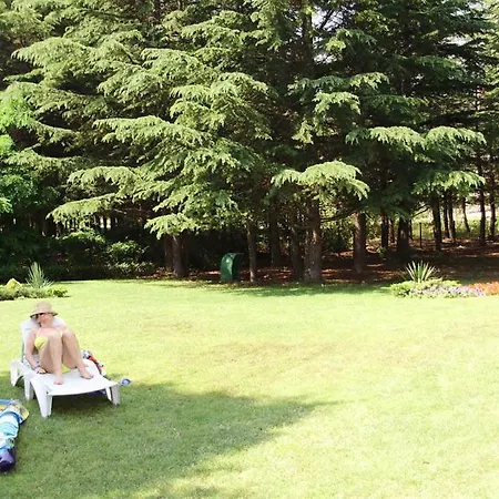 Hotel Dunav Sunny Beach